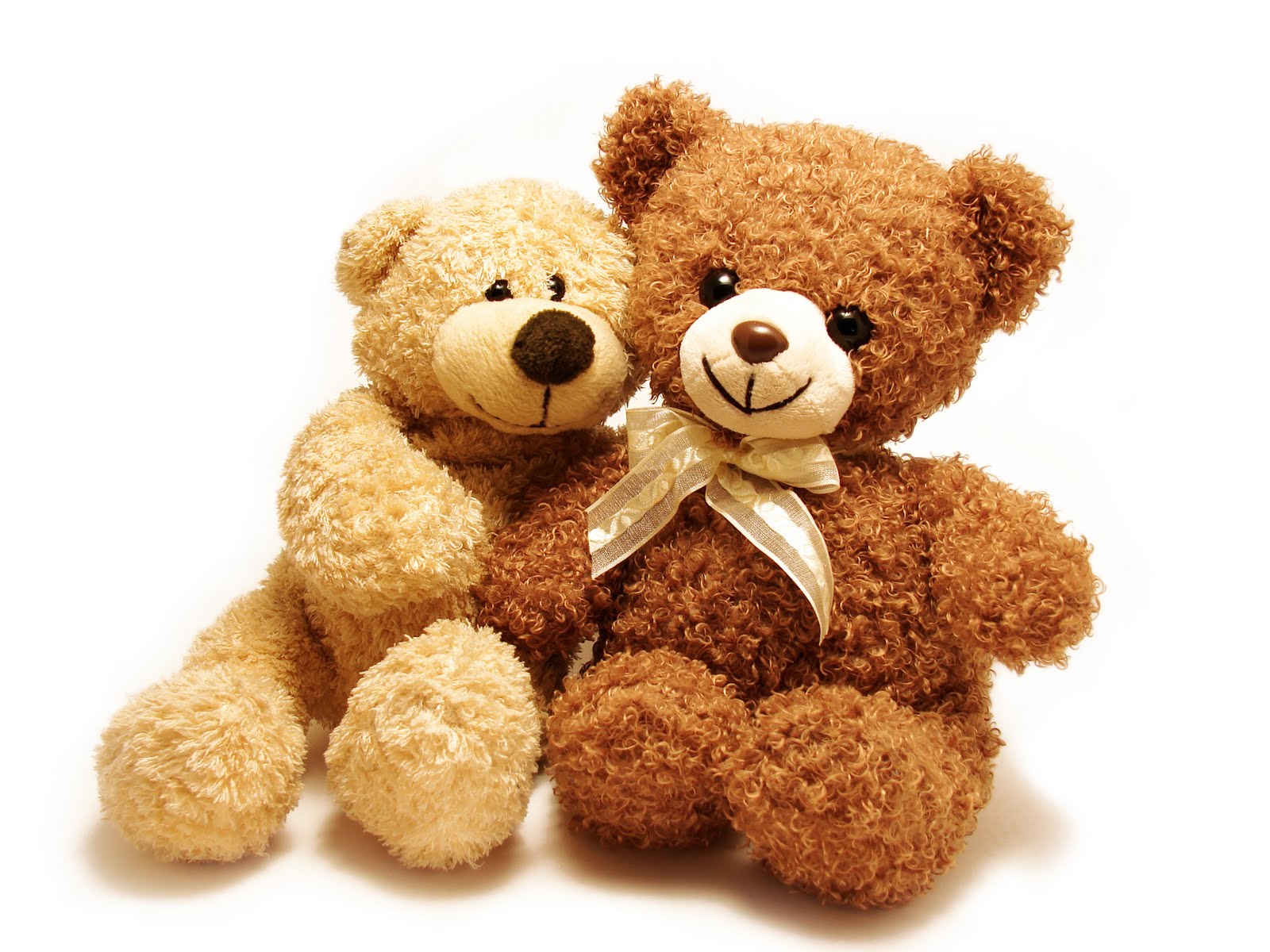 double teddy bear